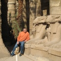 Sphinx à droite de la cour