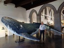Septembre-Expo-Alfredo-Longo