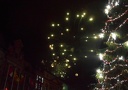 DSCN3598