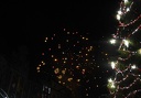 DSCN3602