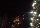 DSCN3604